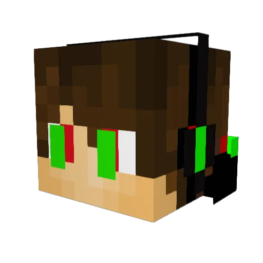KungFuFabi Minecraft avatar head, 3D render