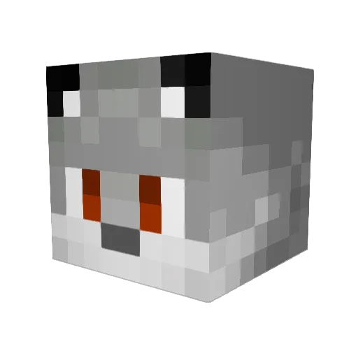 KungFuFenris Minecraft avatar head, 3D render