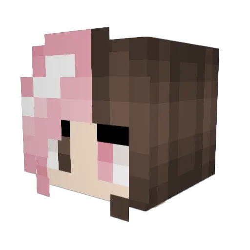 KungFuGirl3 Minecraft avatar head, 3D render