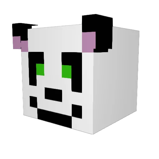 KungFuPanada Minecraft avatar head, 3D render