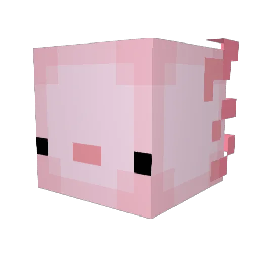 Kungenus Minecraft avatar head, 3D render