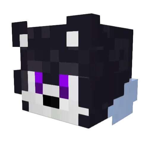 Kunyozero Minecraft avatar head, 3D render