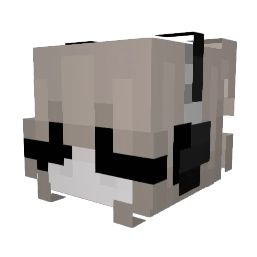 Kuonz Minecraft avatar head, 3D render