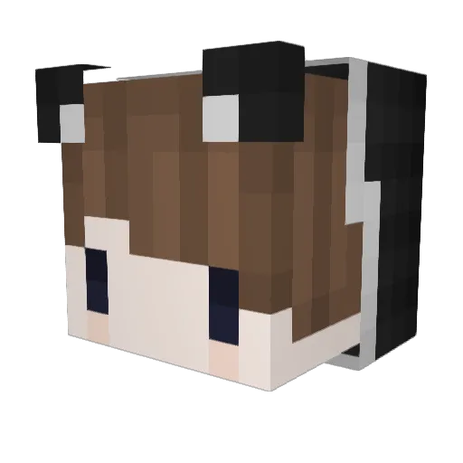 Kup_Seker Minecraft avatar head, 3D render