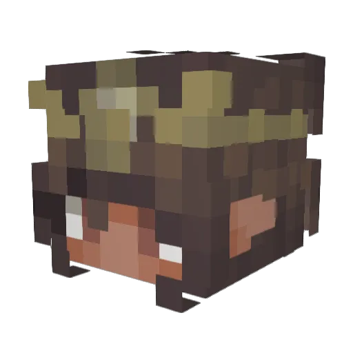 Kupa56 Minecraft avatar head, 3D render
