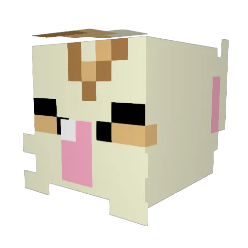 Kupooooo Minecraft avatar head, 3D render