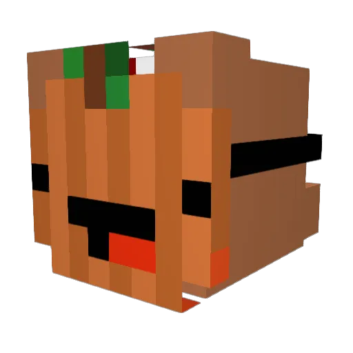 Kuppe2807 Minecraft avatar head, 3D render