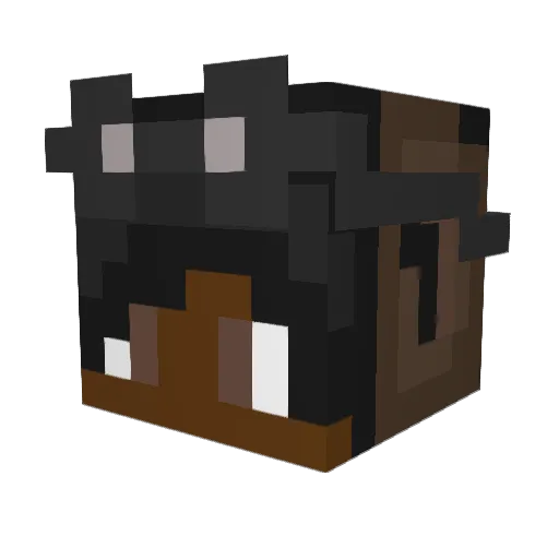 Kur0shii Minecraft avatar head, 3D render