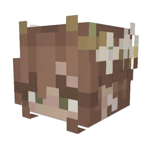 Kur5h Minecraft avatar head, 3D render