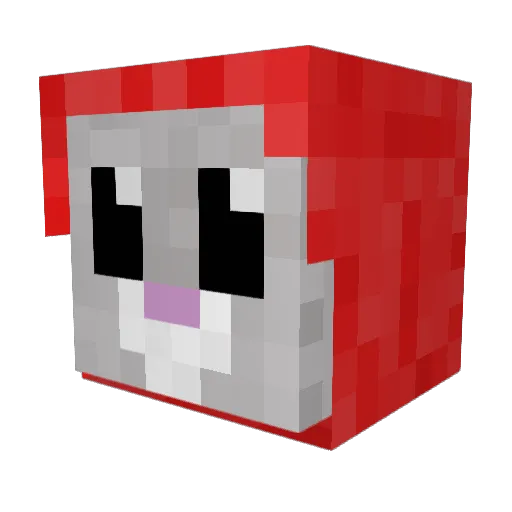 KurcoVayne Minecraft avatar head, 3D render