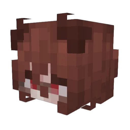 Kure00 Minecraft avatar head, 3D render