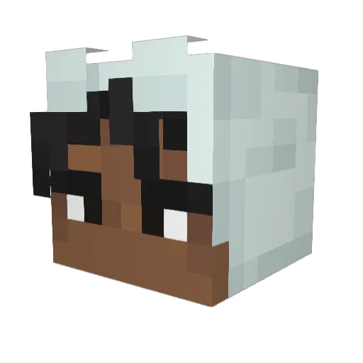 Kurfews Minecraft avatar head, 3D render