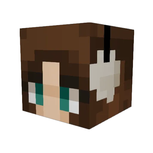 Kurgerbing666 Minecraft avatar head, 3D render