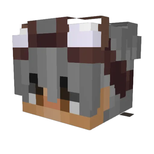 Kurinkiztoo Minecraft avatar head, 3D render