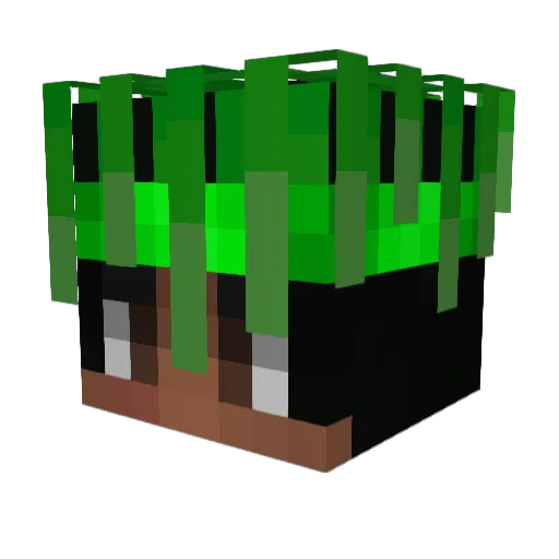 KuroFS Minecraft avatar head, 3D render