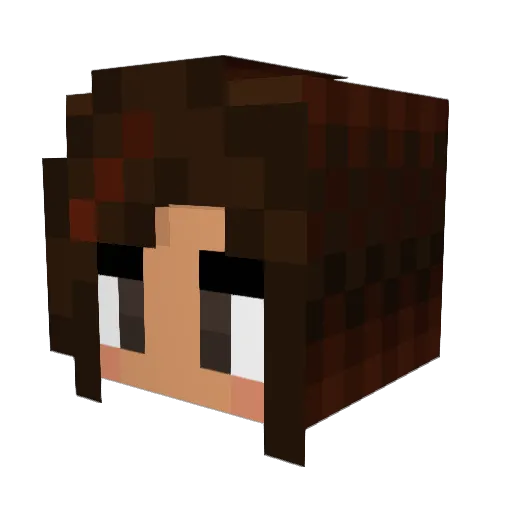 KuroKunoichi Minecraft avatar head, 3D render