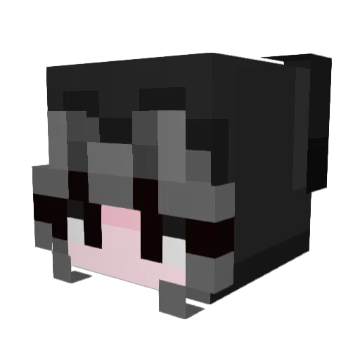 Kuromipop Minecraft avatar head, 3D render