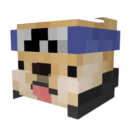 Kurt510 Minecraft avatar head, 3D render