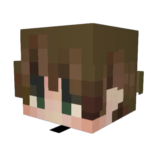 KurtzBryer Minecraft avatar head, 3D render