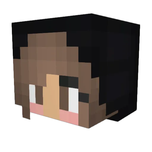 Kuschelhase29 Minecraft avatar head, 3D render