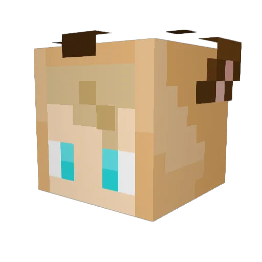 Kushan Minecraft avatar head, 3D render