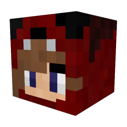 Kushbo420 Minecraft avatar head, 3D render