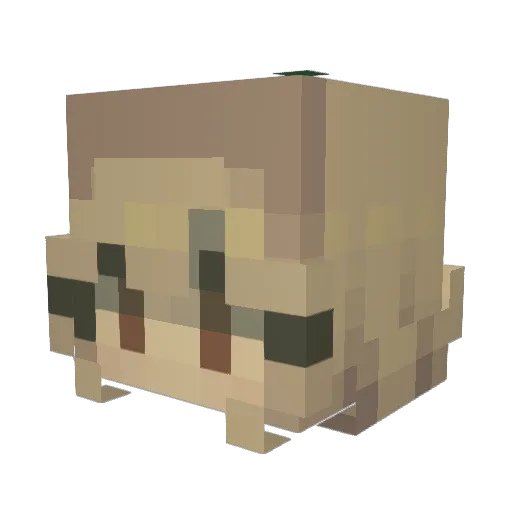 Kushu_GG Minecraft avatar head, 3D render