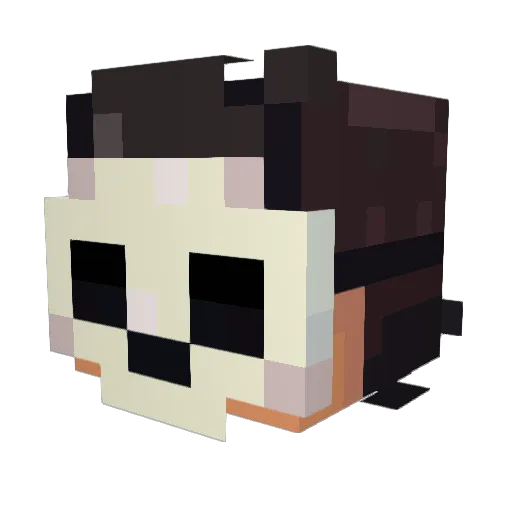 Kustarnik228 Minecraft avatar head, 3D render