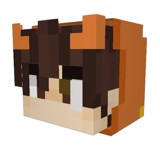 KuvsVoid Minecraft avatar head, 3D render