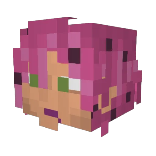 Kuzeyit Minecraft avatar head, 3D render