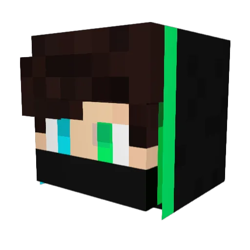 Kuzmic911 Minecraft avatar head, 3D render