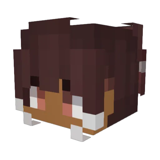 Kv9s Minecraft avatar head, 3D render