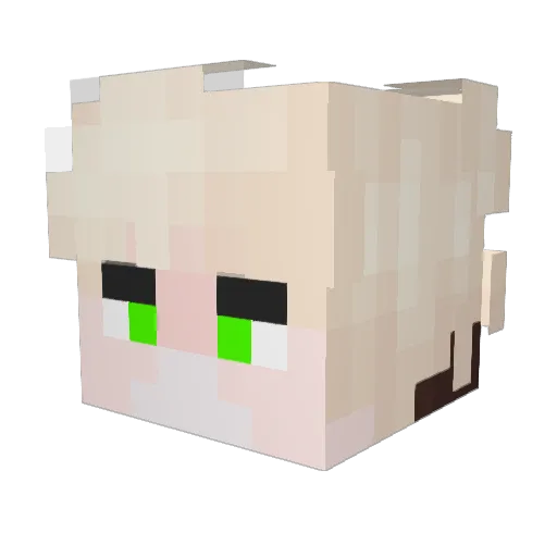 Kvardon Minecraft avatar head, 3D render
