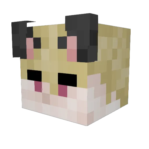 Kvass_enjoyer69 Minecraft avatar head, 3D render