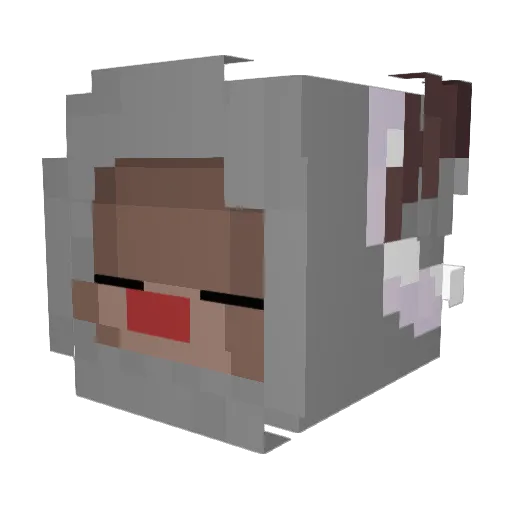 Kvedz Minecraft avatar head, 3D render