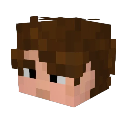 Kviki79 Minecraft avatar head, 3D render