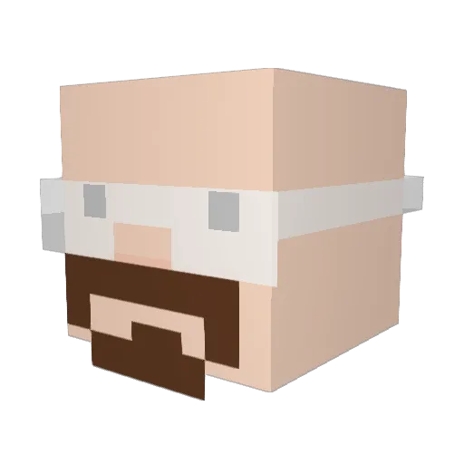 Kwabawk Minecraft avatar head, 3D render