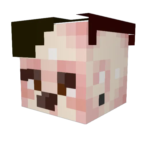 Kwan0609 Minecraft avatar head, 3D render