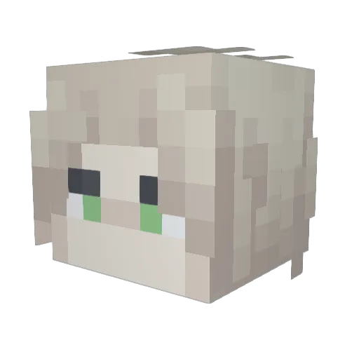 Kwayko Minecraft avatar head, 3D render