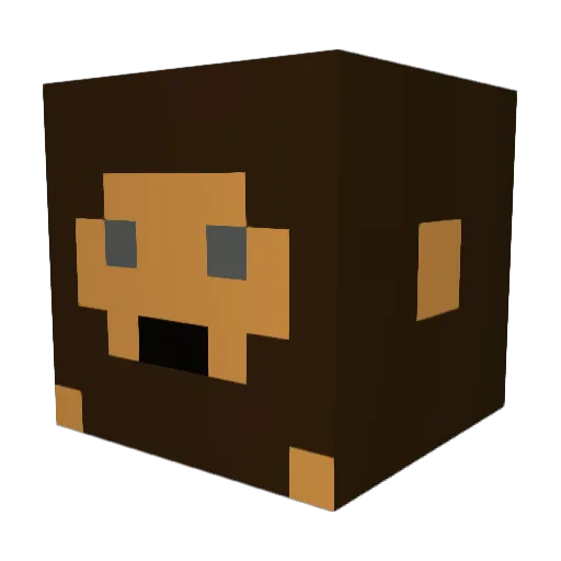 Kwazimoto Minecraft avatar head, 3D render