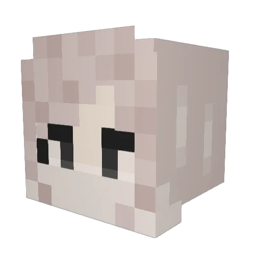 Kweizy1 Minecraft avatar head, 3D render
