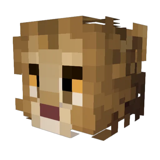 Kwerrot Minecraft avatar head, 3D render