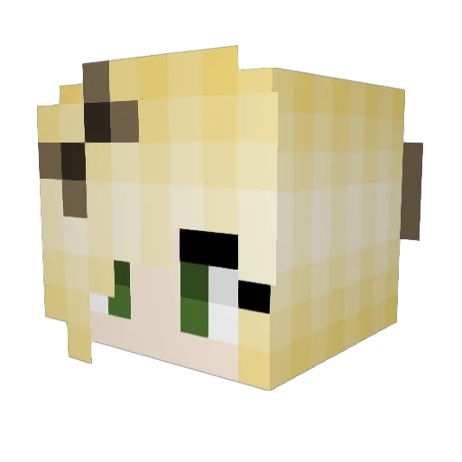 Kwestion Minecraft avatar head, 3D render