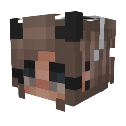 Kwispykweam Minecraft avatar head, 3D render