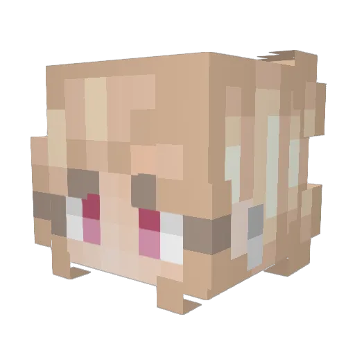 Kxas_ Minecraft avatar head, 3D render