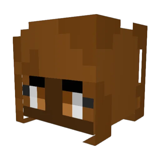 Kxcid Minecraft avatar head, 3D render