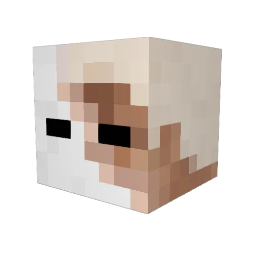 Kxgz_ Minecraft avatar head, 3D render