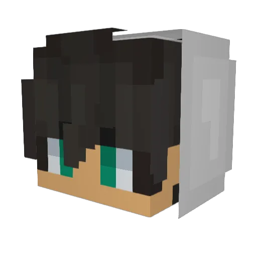 Kxi2112 Minecraft avatar head, 3D render