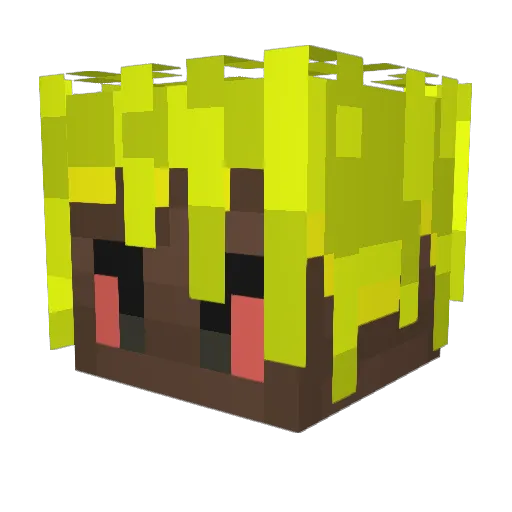 KxinPlan Minecraft avatar head, 3D render