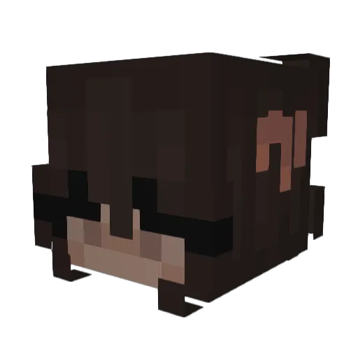 Kxttyyyy Minecraft avatar head, 3D render